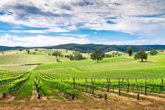 Australia: Becas Para Doctorado en Agricultura Universidad de Tasmania y CSIRO Agricultura y Alimentación